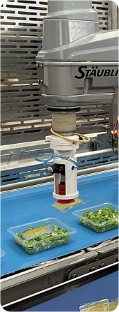 Sauce-pick-and-place